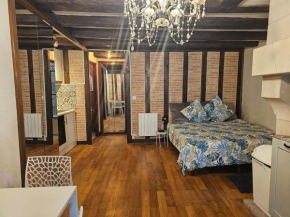 Nid douillet dans vieux-Tours